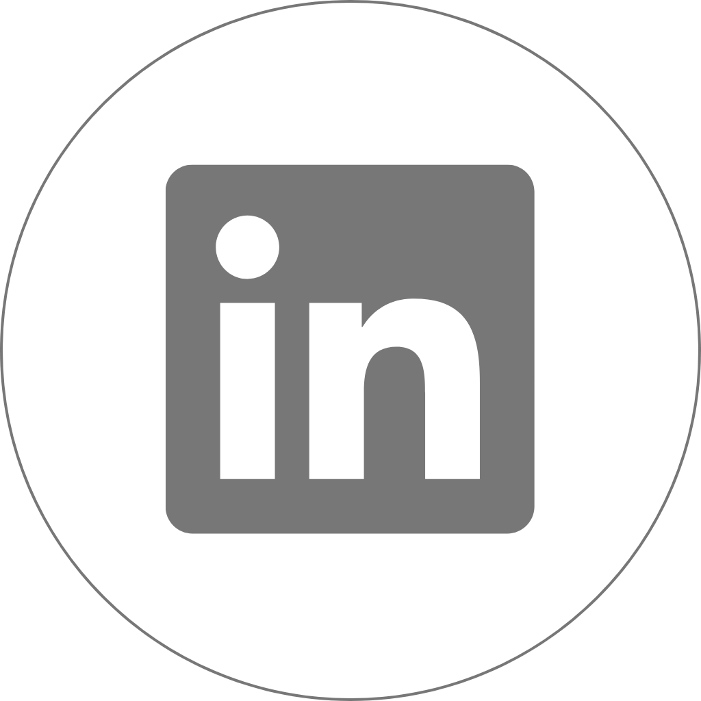 Logo LinkedIn Gris ELD BAT